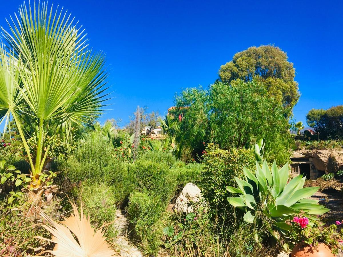Tenerife Nature Retreat Ifonche Екстер'єр фото