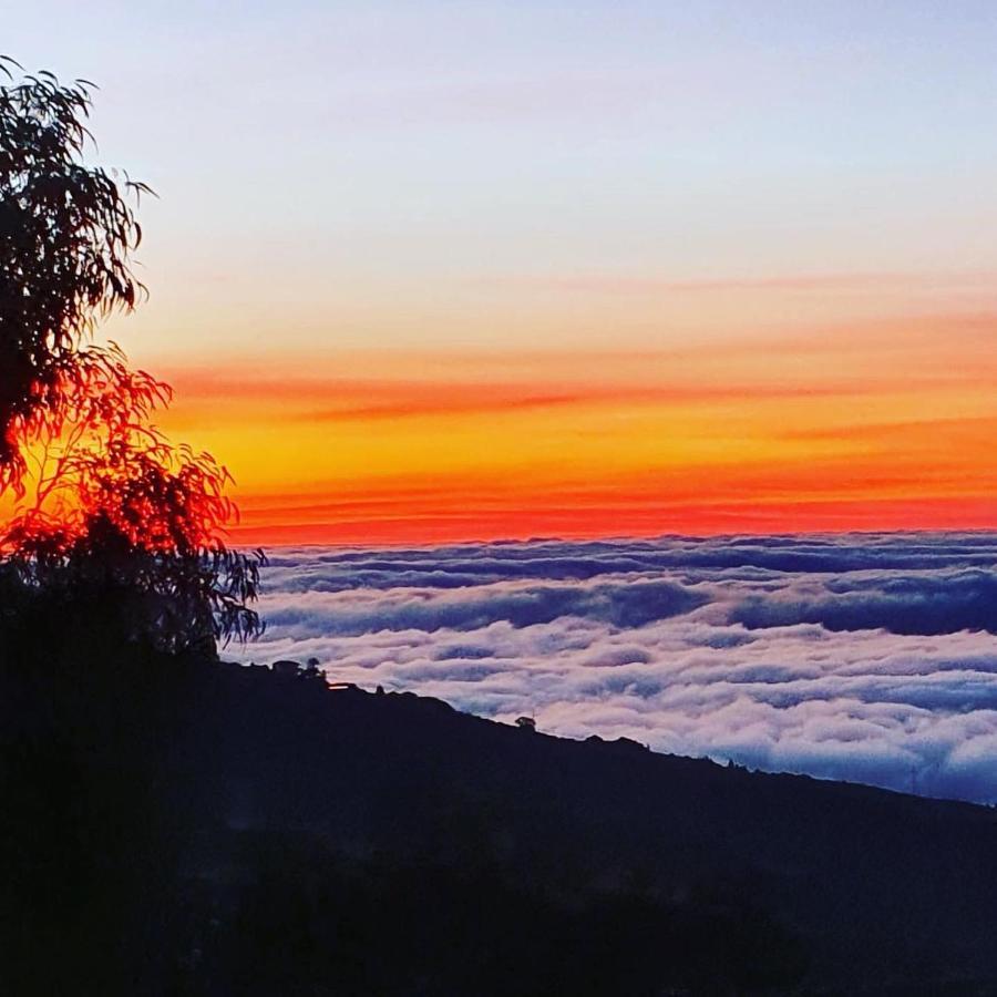 Tenerife Nature Retreat Ifonche Екстер'єр фото