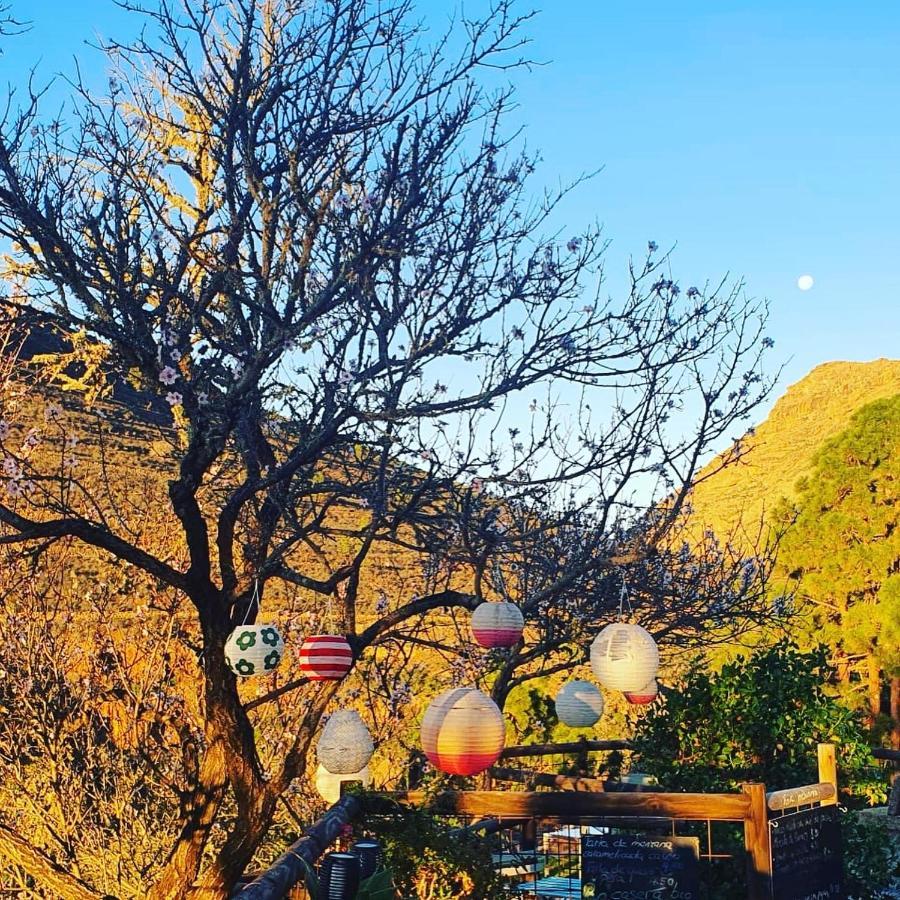 Tenerife Nature Retreat Ifonche Екстер'єр фото