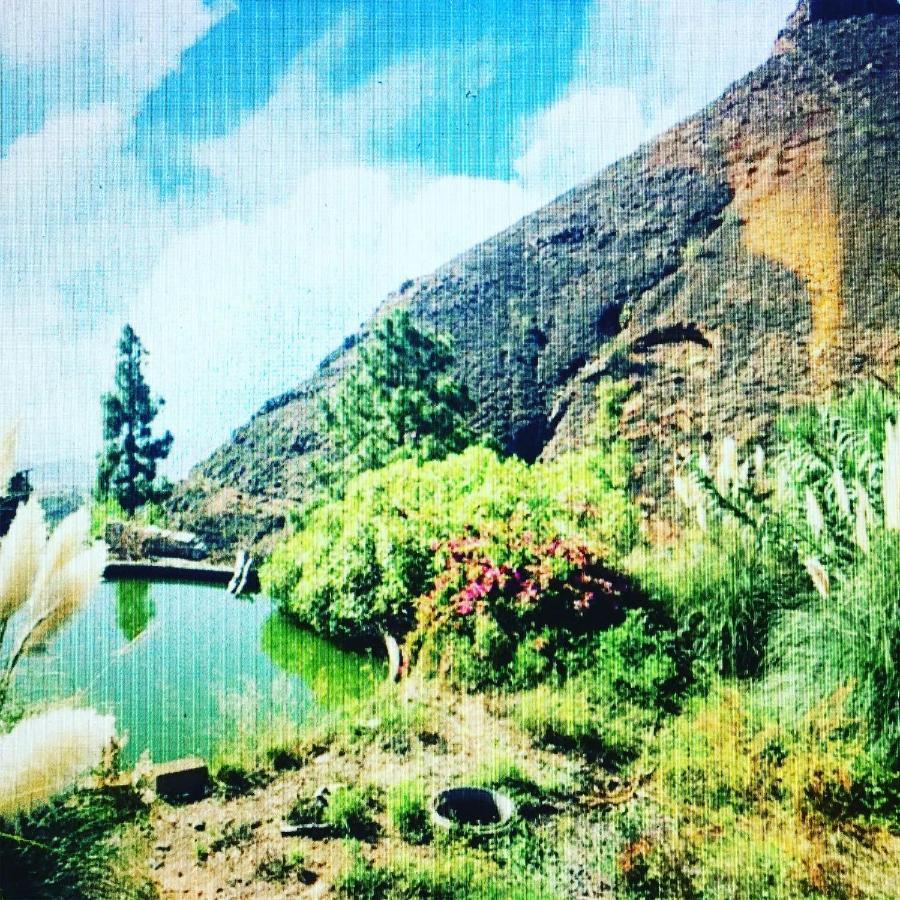 Tenerife Nature Retreat Ifonche Екстер'єр фото